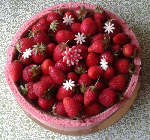 charlotte aux fraises